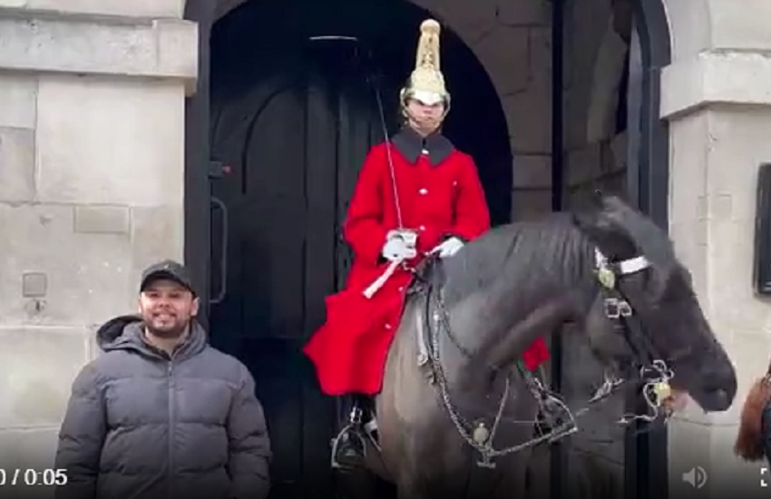  Την πάτησε… Τουρίστρια ήθελε να φωτογραφηθεί δίπλα στο άλογο της βασιλικής φρουράς (vid)