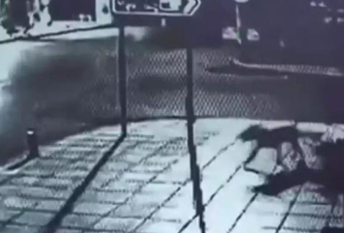  Ποινή φυλάκισης 5,5 ετών στον 27χρονο που μαχαίρωσε σκύλο μέχρι θανάτου – Σοκάρει το βίντεο