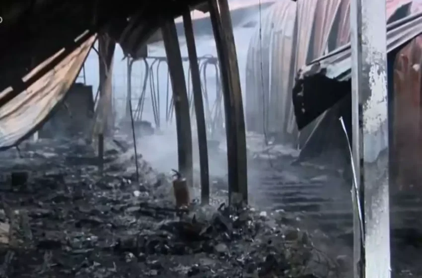  Φωτιά σε καφέ μπαρ στην Αρτέμιδα – Καταστράφηκε ολοσχερώς