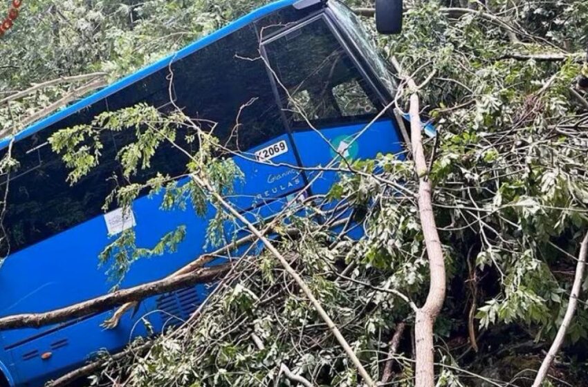  Ιταλία: Σχολικό λεωφορείο με 20 μαθητές έπεσε σε χαράδρα (εικόνες)