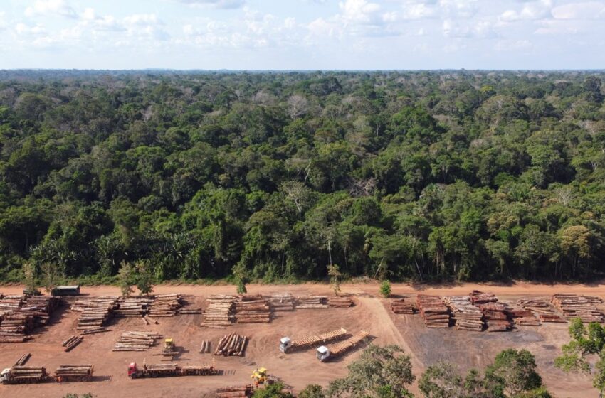  Βραζιλία: Ο Λούλα ”σώζει” τον Αμαζόνιο – Μειώθηκε κατά 68% η αποψίλωση του τροπικού δάσους