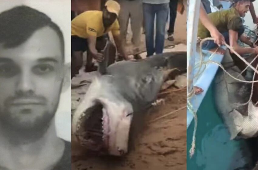  Αίγυπτος: Καρχαρίας κατασπάραξε 23χρονο Ρώσο – Σκληρές εικόνες (vid)