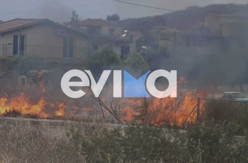  Φωτιά στη Χαλκίδα κοντά σε σπίτια