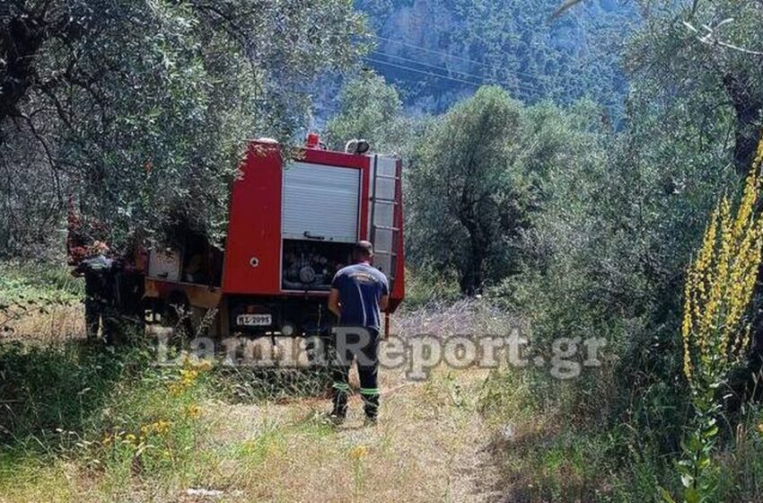  Καμένα Βούρλα: Πυροσβέστες έσβησαν φωτιά κοντά σε σπίτια πριν προλάβει να εξαπλωθεί (εικόνες)