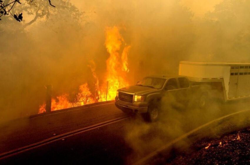  Ανεξέλεγκτες φωτιές στον Καναδά: Χιλιάδες εγκαταλείπουν τα σπίτια τους – Οι φλόγες φτάνουν τα 100 μέτρα ύψους (vid)