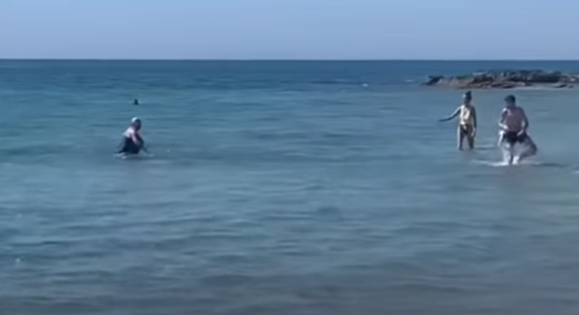  Ισπανία: Καρχαρίας 2 μέτρων βγήκε στα ρηχά και προκάλεσε πανικό στους λουόμενους (vid)