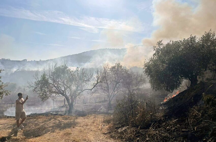  Φωτιά στο Ελαιοχώρι Καβάλας – Επιχειρούν δύο αεροσκάφη