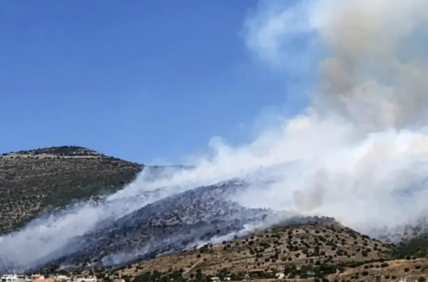  Λάρισα: Μεγάλη κινητοποίηση της Πυροσβεστικής για φωτιά στο Κυψελοχώρι