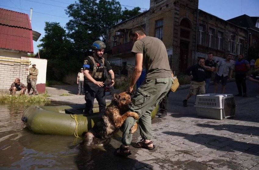  Ουκρανία: Απομακρύνουν με βάρκες ανθρώπους και ζώα από τα πλημμυρισμένα σπίτια (vid)