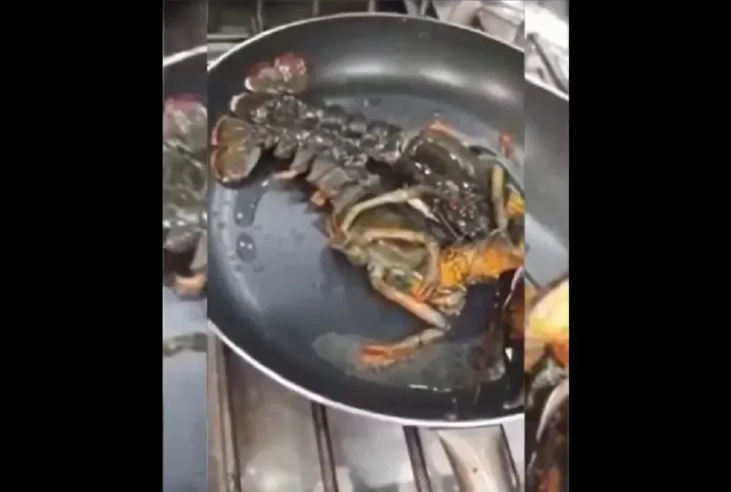 taverna notia proastia kataggelia zontanoi astakoi