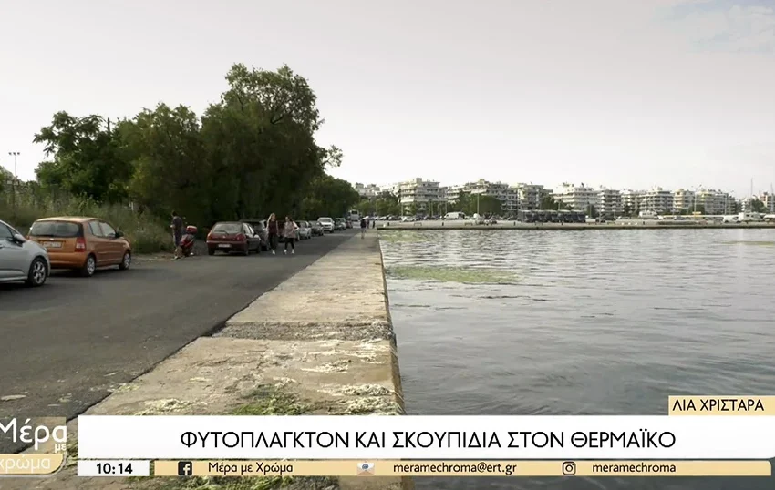  Γέμισε από μέδουσες ο Θερμαϊκός