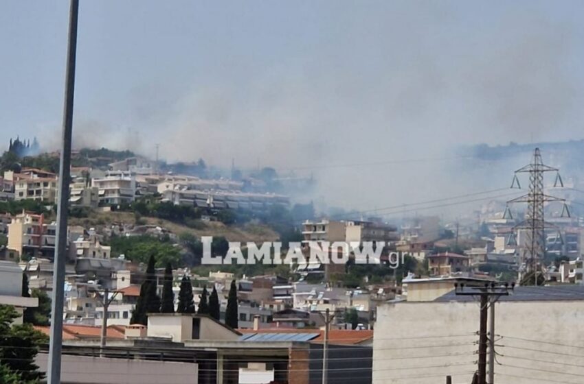  Λαμία: Οι φλόγες φτάνουν στα πρώτα σπίτια στον Αφανό (vids)