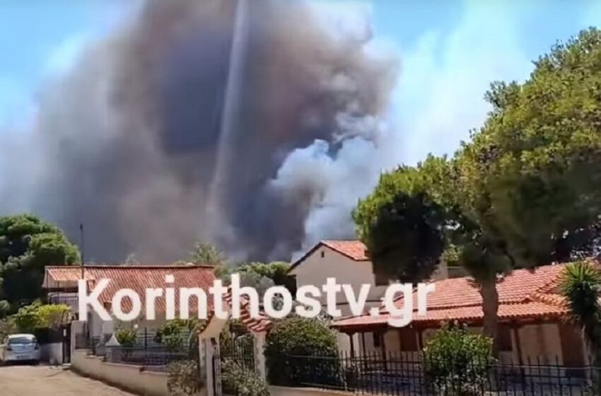  Φωτιά στο Λουτράκι: Εκκενώνονται οι περιοχές Καλλιθέα, Πευκιάς, Ειρήνη και οι παιδικές κατασκηνώσεις