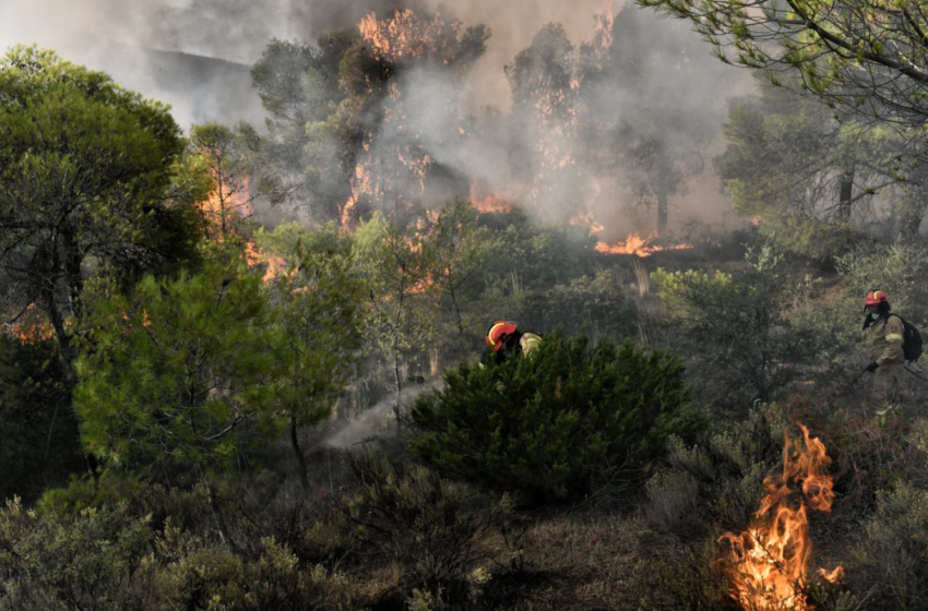  Κρήτη: Φωτιά στην Ιεράπετρα – Μεγάλη κινητοποίηση της Πυροσβεστικής