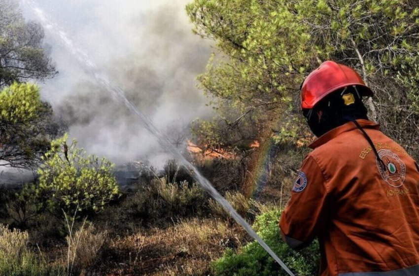  Εύβοια: Ξέσπασε φωτιά σε δασική έκταση στην περιοχή Φύλλα – Προσπάθεια να μη κινδυνεύσει το μοναστήρι του Αγίου Γεωργίου Αρμά