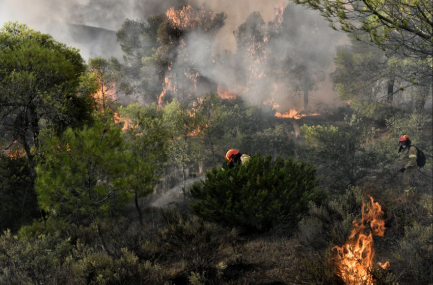  Κόκκινος συναγερμός της Πυροσβεστικής: Κίνδυνος πυρκαγιάς σε έξι περιφέρειες της χώρας – Δείτε τους χάρτες