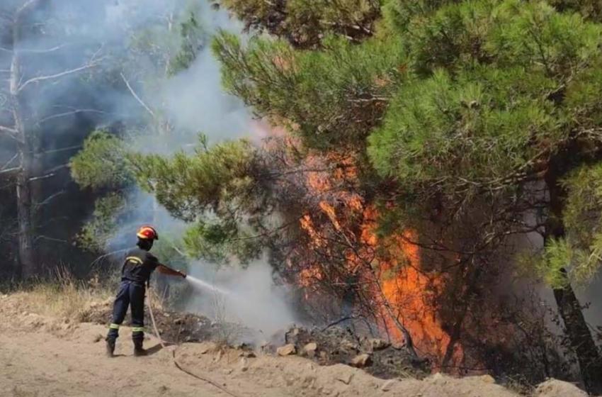  Νέος συναγερμός στην Πυροσβεστική: Φωτιά στο Καστρί Ηρακλείου Κρήτης