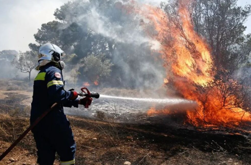  Πυρκαγιές: Οριοθετήθηκε η φωτιά στην Υλίκη Βοιωτίας