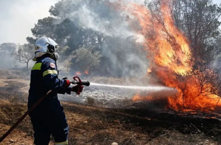  Νέα πυρκαγιά στην Υλίκη Βοιωτίας