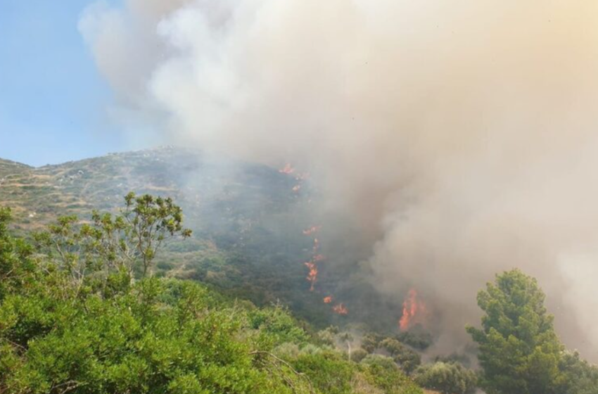  Φωτιά στην Μεσσηνία – Οι φλόγες απειλούν σπίτια στην Αγία Τριάδα Κορώνης