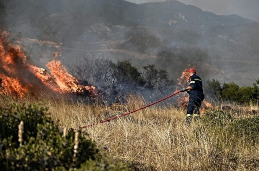  Φωτιά στην Αρχαία Ολυμπία: Προσήχθη ένας ύποπτος για απόπειρα εμπρησμού στον οικισμό Μουριά