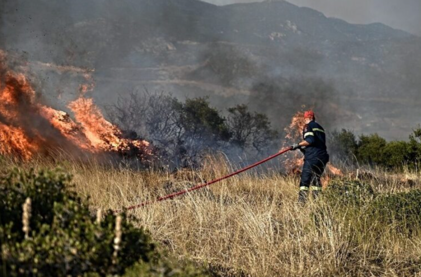  Φωτιά στην Ηλεία: Νέο μέτωπο πυρκαγιάς στην περιοχή Πλάτανος