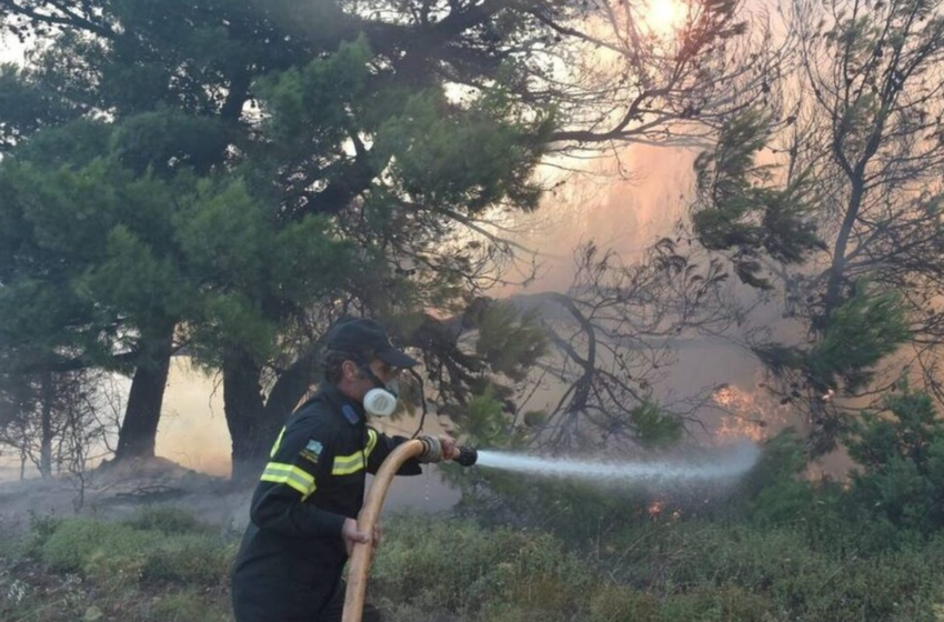  Αγρίνιο: Φωτιά σε δασική έκταση στην περιοχή Στράτος