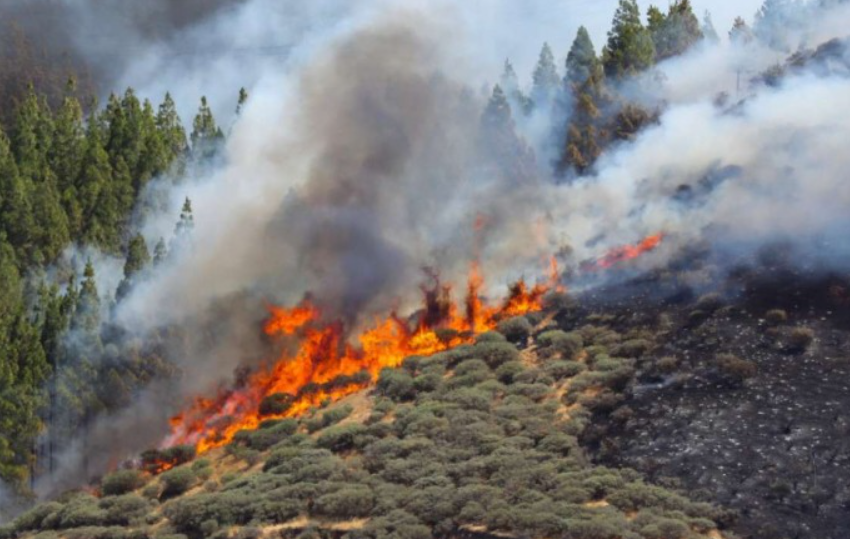  Υψηλός κίνδυνος πυρκαγιάς το Σάββατο και την Κυριακή στις περιφέρειες Νοτίου και Βορείου Αιγαίου