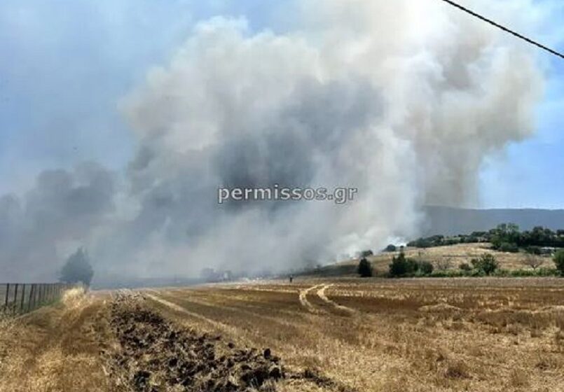  Φωτιά στο Καπαρέλλι Βοιωτίας