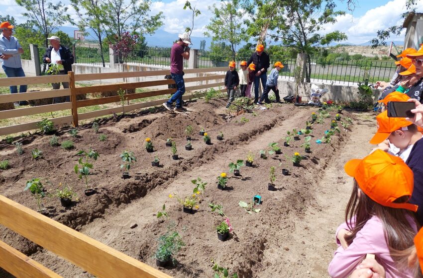  Carbon farming schools: Μαθητές γνώρισαν τη βιώσιμη γεωργία με την υποστήριξη της ΔΕΗ