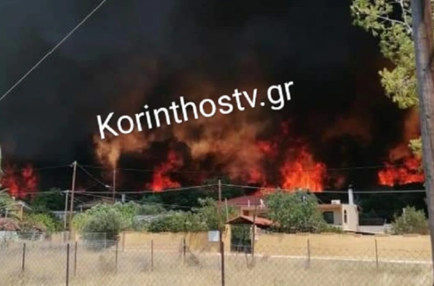  Φωτιά στο Λουτράκι: Εκκενώθηκε η αθλητική κατασκήνωση «Sport Camp» – Στο κλειστό γήπεδο Λουτρακίου οι κατασκηνωτές