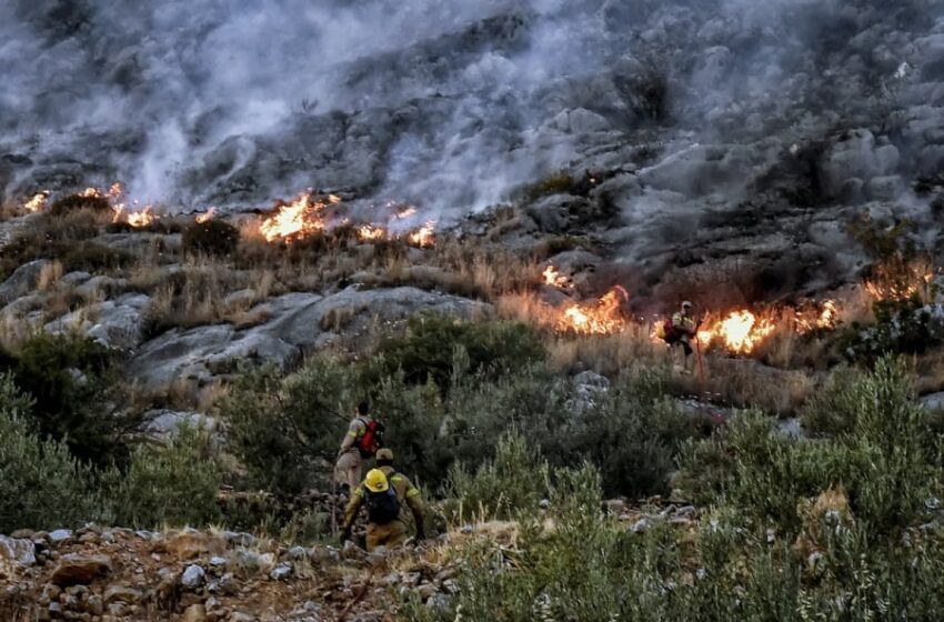  Ανάλυση/ Πώς η έλλειψη στρατηγικού σχεδιασμού καίει τα δάση-