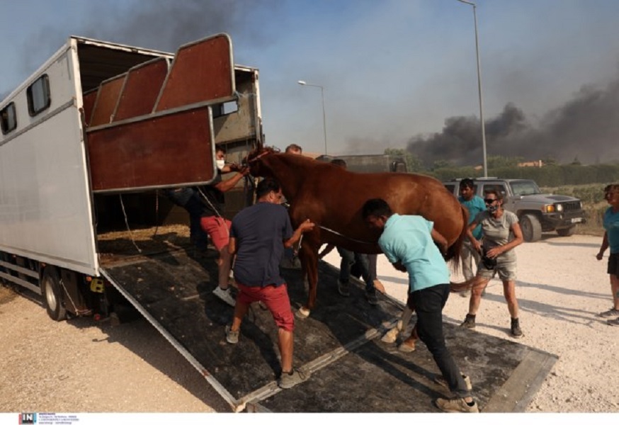 efadde27ed494abeba26faa71fdc82e7