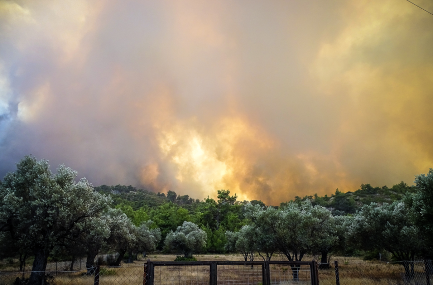  Φωτιά τώρα στην Πέλλα σε δασική έκταση