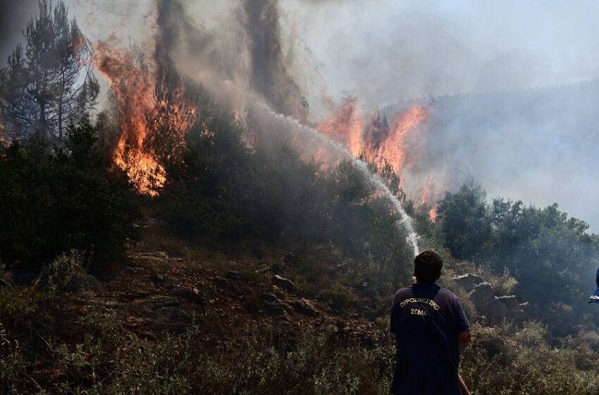  Φωτιά στα Δερβενοχώρια: Εντολή εκκένωσης για το χωριό Λεύκα