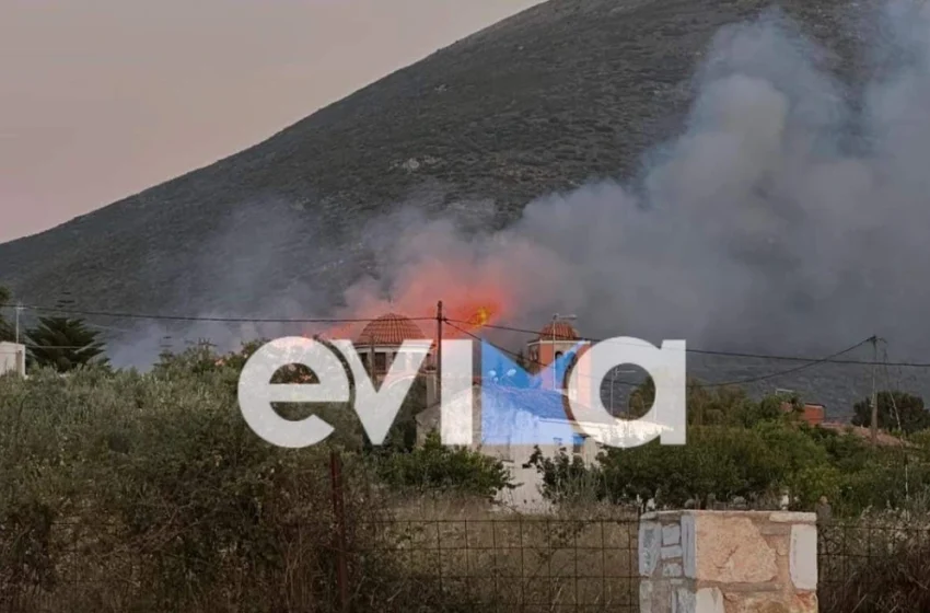  Φωτιά στην Εύβοια κοντά σε εργοστάσιο της ΔΕΗ