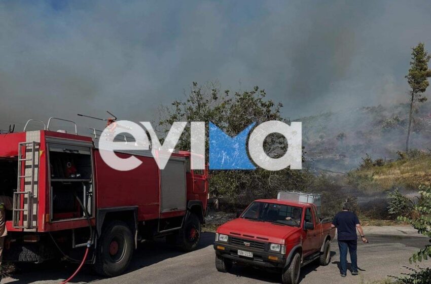  Μεγάλη φωτιά στο Κοντοδεσπότι Εύβοιας – Καίει δίπλα στο χωριό (εικόνες, vid)