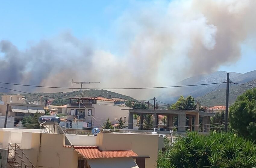  Μεγάλη πυρκαγιά στην Κερατέα στο ύψος του Κουβαρά – Μήνυμα από το 112 στους κατοίκους – Εκκενώνονται περιοχές (vids)