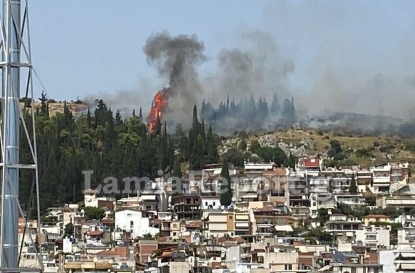  Φωτιά στη Λαμία: Σε κρίσιμη κατάσταση 67χρονος μελισσοκόμος – Υπέστη σοβαρά εγκαύματα