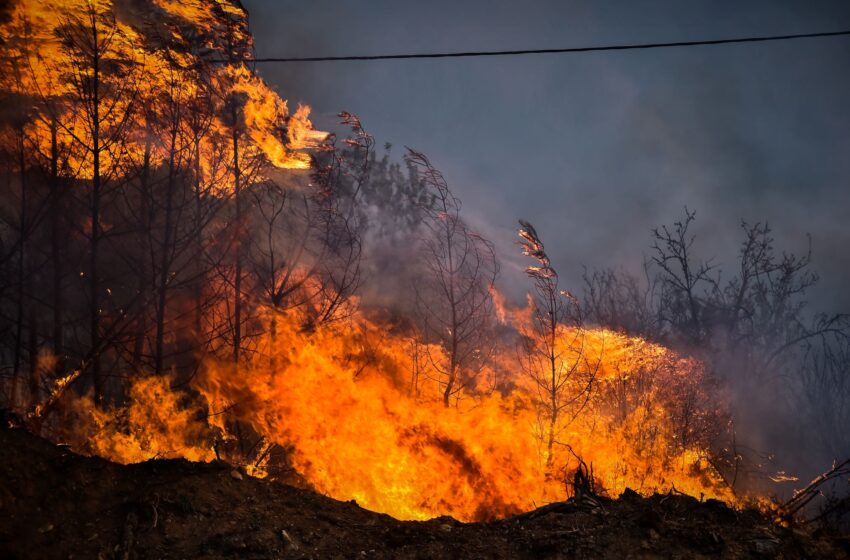 Φωτιές: Σχεδόν μισό εκατομμύριο στρέμματα κάηκαν μέσα στον Ιούλιο