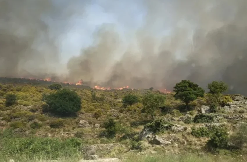  Επεκτάθηκε η φωτιά στη Νάξο: Αποπνικτική η κατάσταση – Δυνάμεις και από την Αττική στη δύσκολη μάχη (εικόνες, vid)