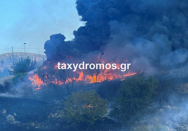  Νέα πυρκαγιά στη Μαγνησία: Κοντά στα πρώτα σπίτια η φωτιά στο Σέσκλο