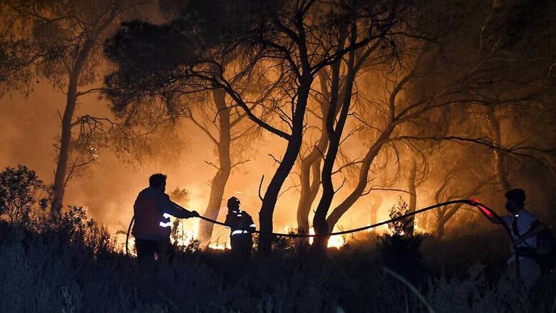  Φάμελλος για πυρκαγιές: Η ευθύνη είναι της Πολιτείας – Μην ρίχνει η κυβέρνηση το μπαλάκι στους δήμους