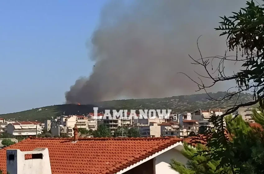  Λαμία: Μήνυμα 112 για εκκένωση Αμφιθέας, Κόκκινων και Περίβλεπτου – Αίρεται ο κίνδυνος για 10 οικισμούς στη Ρόδο