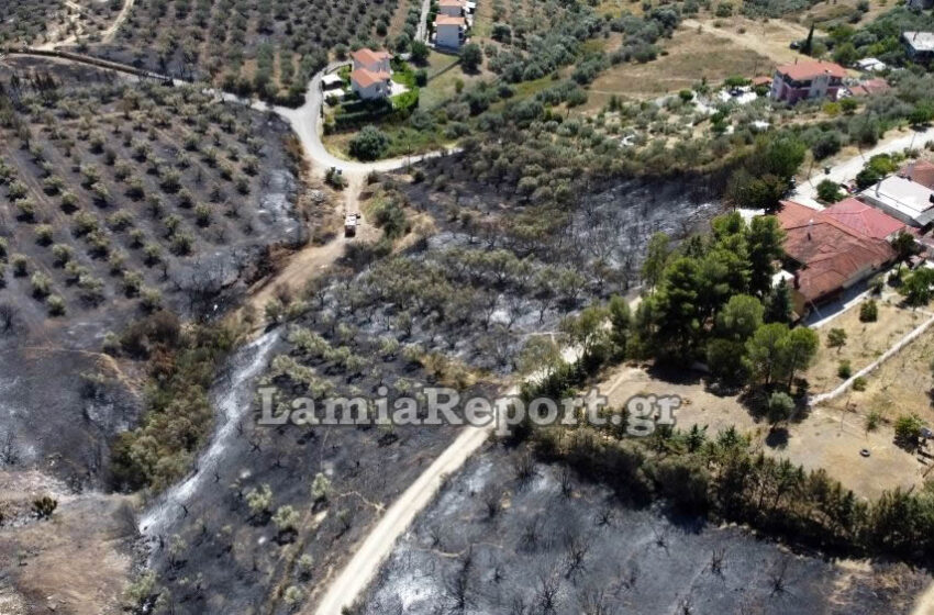  Φωτιά στη Λαμία: Drone αποκαλύπτει το μέγεθος της καταστροφής (vid)