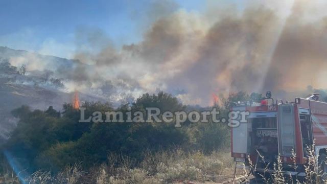  Φωτιά σε περιοχή της Λαμίας