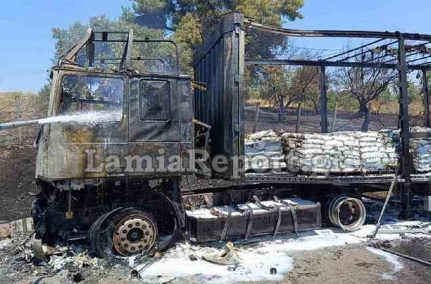  Νταλίκα κάηκε ολοσχερώς στην εθνική Αθηνών – Λαμίας (εικόνες)
