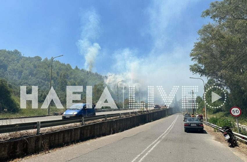  Πυρκαγιά στην Ηλεία: Οριοθετήθηκαν οι φωτιές αλλά κάηκε το δάσος της Παλαιοβαρβάσαινας  – Προσήχθη 65χρονος για απόπειρα εμπρησμού