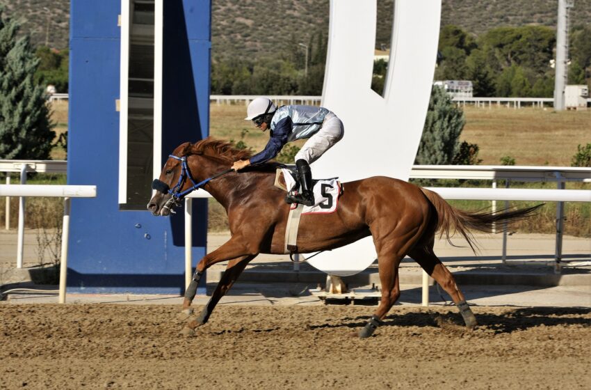  Markopoulo Park: Μεγάλα κέρδη για τρεις νικητές στο ΣΚΟΡ 6
