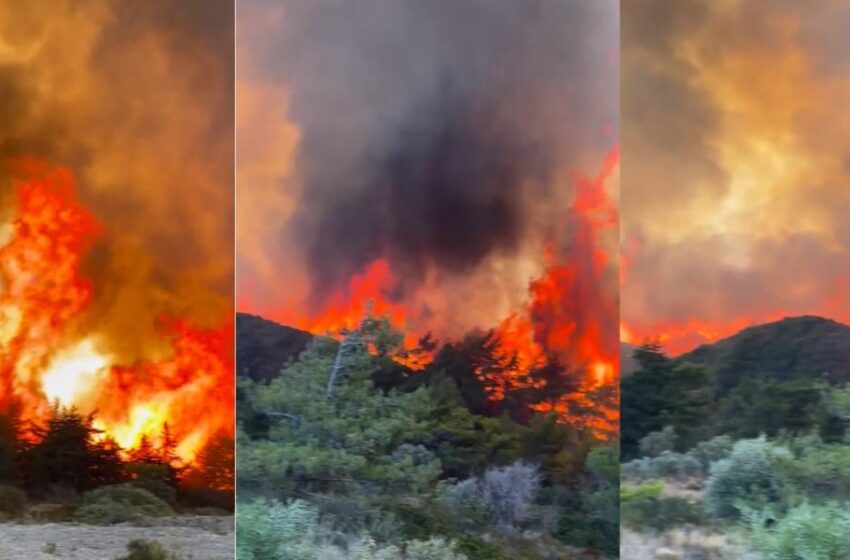  Ρόδος: Τρομακτικό βίντεο με τις φλόγες να φτάνουν σε ύψος δεκάδων μέτρων – “Δεν έσβησε ποτέ…”